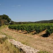 Domaine Aigues Belles